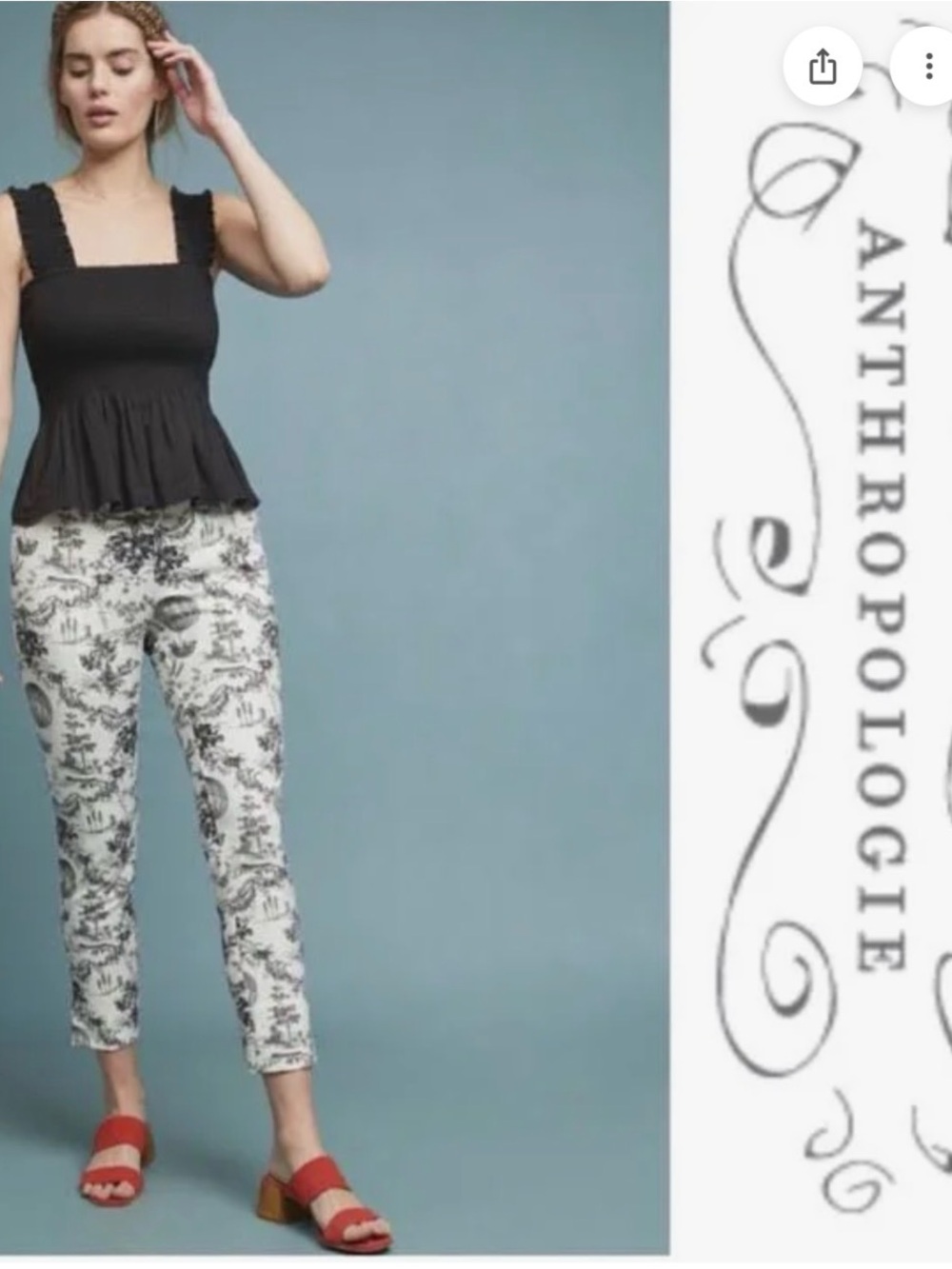Anthropologie Essential Slim Toile Hot Air Balloon Pants 4P Novelty Print